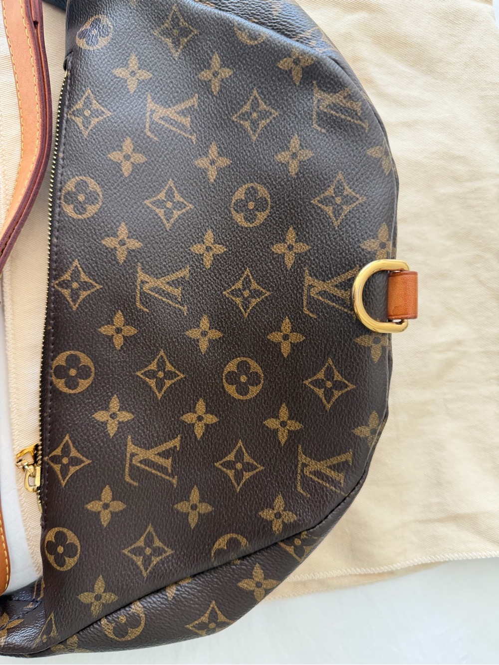 Louis Vuitton Monogram Belt Bag in Brown with Gold Hardware - Picture 6 of 17